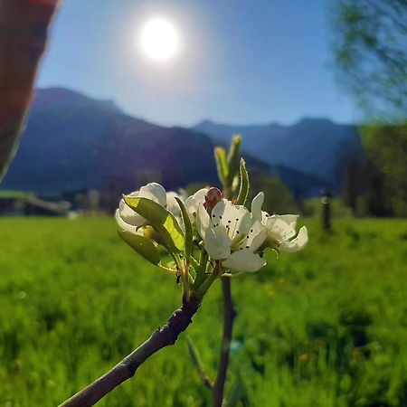 Pulvererhof Achenkirch Dış mekan fotoğraf