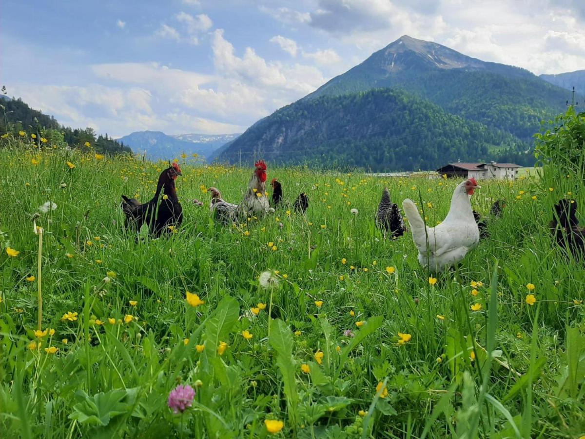 Pulvererhof Achenkirch Dış mekan fotoğraf