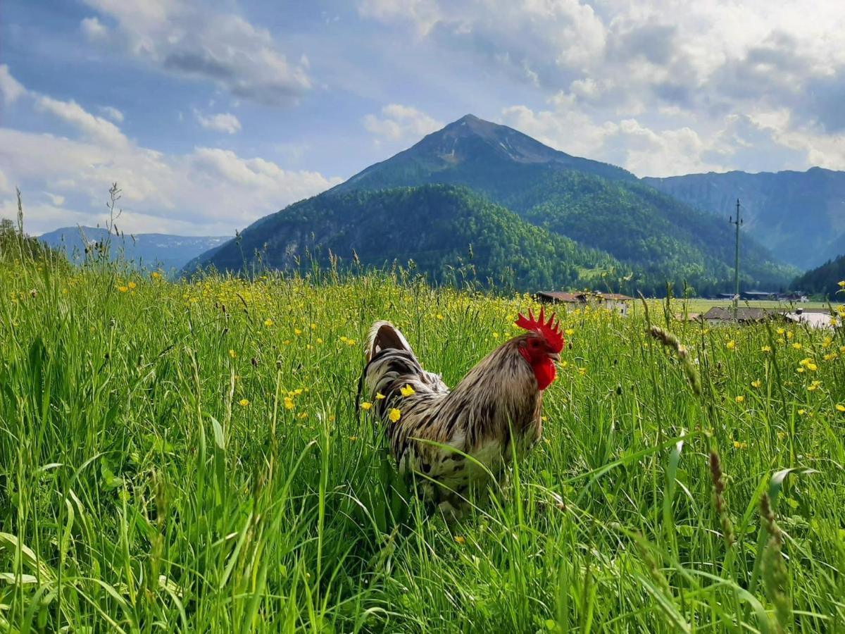 Pulvererhof Achenkirch Dış mekan fotoğraf