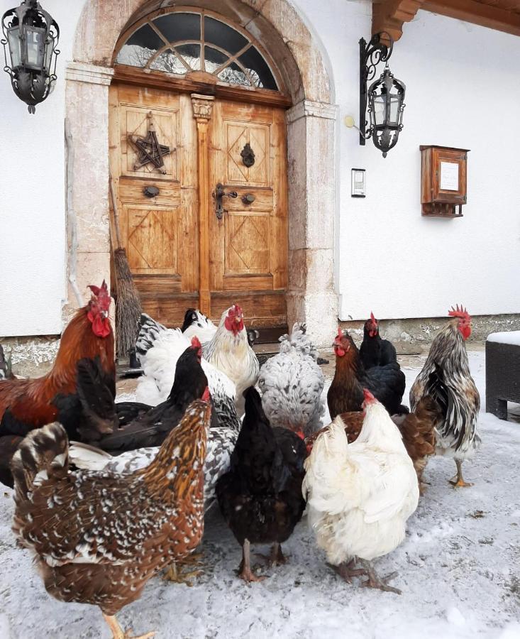 Pulvererhof Achenkirch Dış mekan fotoğraf