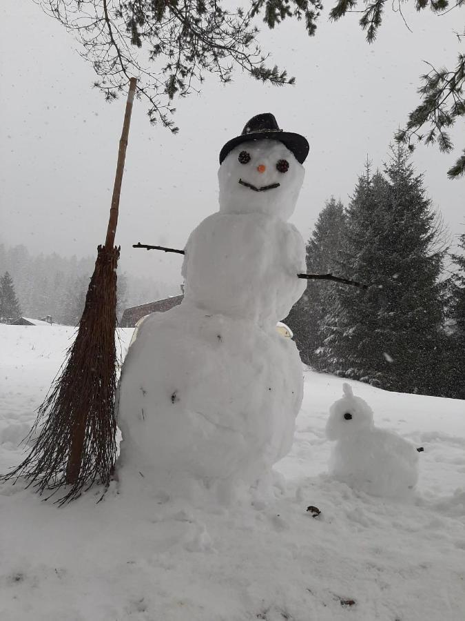 Pulvererhof Achenkirch Dış mekan fotoğraf